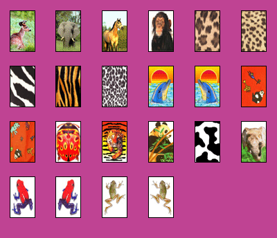 animals.gif (40689 bytes)