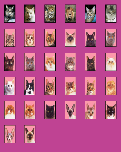 cats.gif (62182 bytes)
