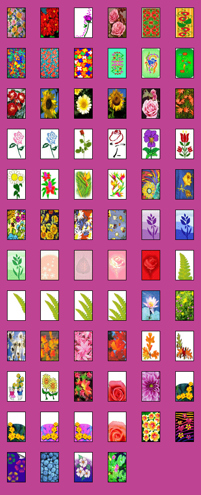 flowers.gif (114455 bytes)