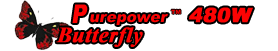 butterfly.gif (4976 bytes)