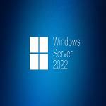 Microsoft Windows Server 2022 Standard 64-bit - License - 16 Core - OEM - DVD-ROM - PC