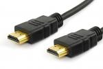 HDMI-HDMI CABLE (10FT)